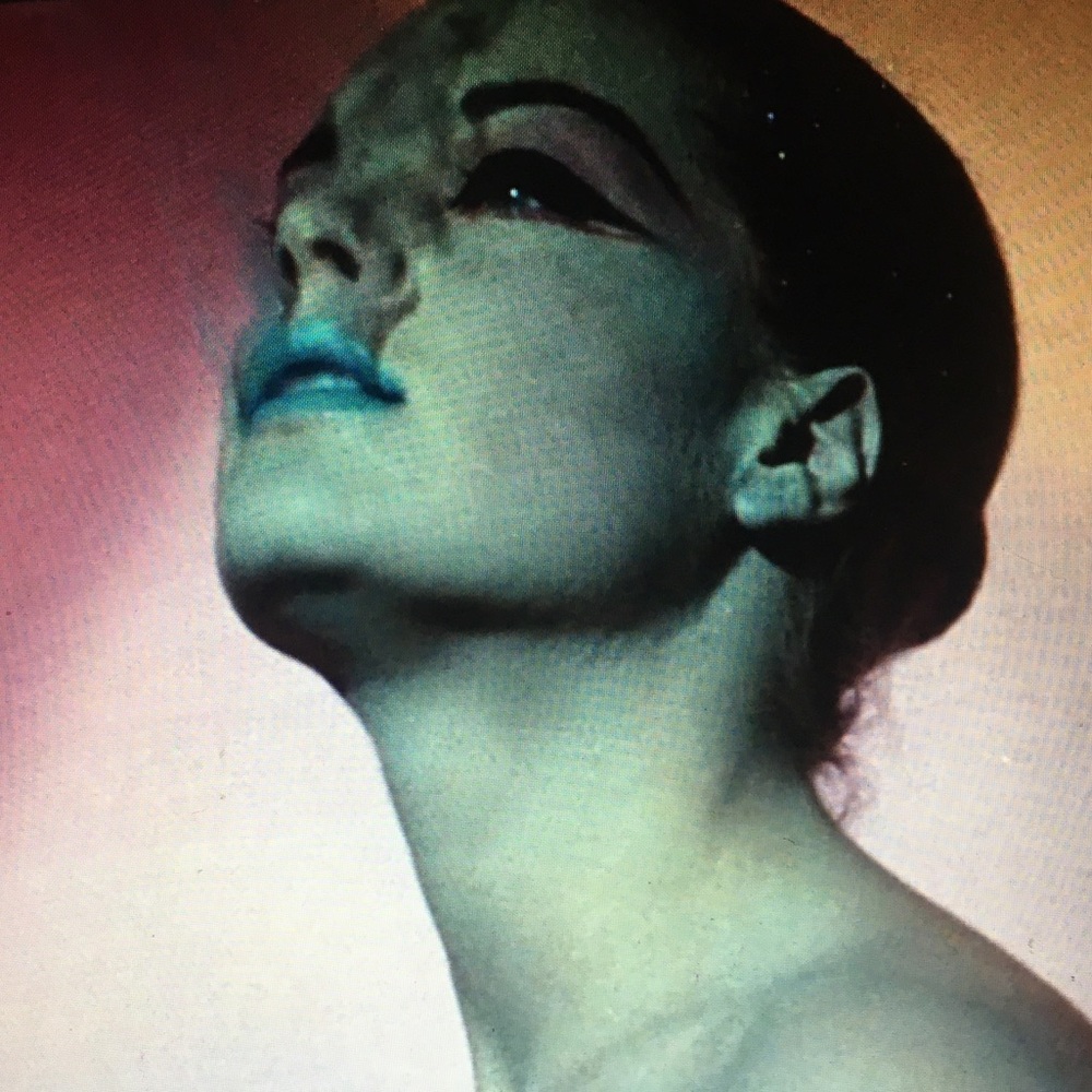 Meet your Posher, Lily